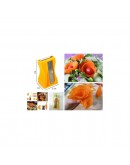 Острилка за моркови белачка ренде уред за декорация на зеленчуци и плодове