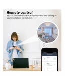 Смарт контакт WiFi 16A